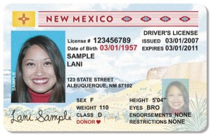 New-Mexico-drivers-License